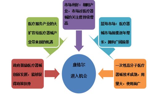 高分子医疗器械产业化发展项目商业计划书参考模板