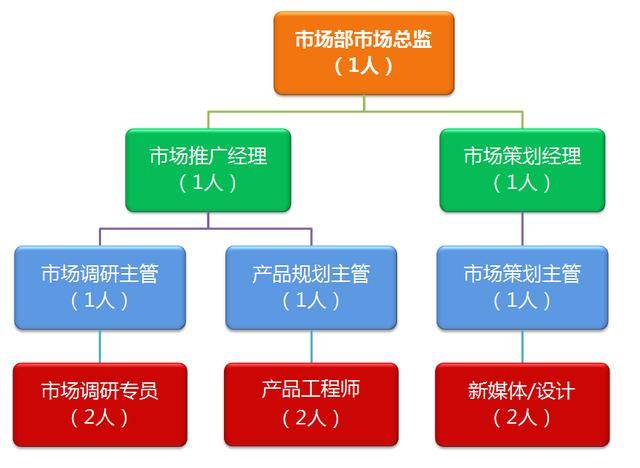 市场营销方案丨市场部主要职能及组织架构,岗位说明书_战略.